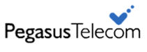 Pegasus Telecom Pegasus Telecom